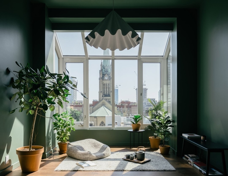Ambiente com plantas e janela branca, paredes pintadas na cor Acampamento na Selva Suvinil e objetos de decoração brancos. Ambiente com plantas e janela branca, paredes pintadas na cor Acampamento na Selva Suvinil e objetos de decoração brancos.