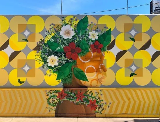 Mural Cecília do artista visual Alexandre Keto recebeu o Suvinil Esmalte Seca Rápido