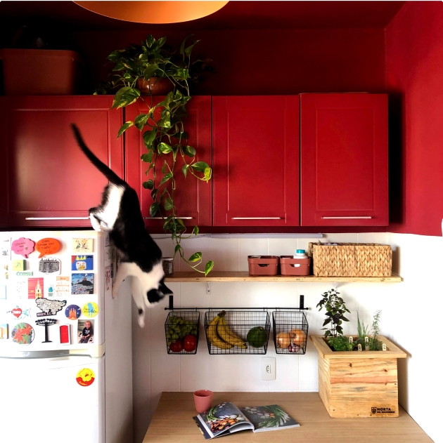 Cozinha com paleta de cores da Amazônia. Entre outros itens, aparece um gato pulando da geladeira.