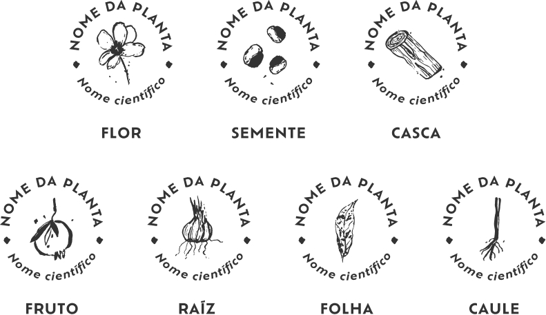 Identificação botânica de cada planta. Guia para visitar os territórios da coleção Brasil em Cores.