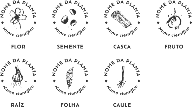 Identificação botânica de cada planta. Guia para visitar os territórios da coleção Brasil em Cores.