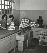 Colaboradores trabalhando em uma fábrica da Suvinil nos anos 60.